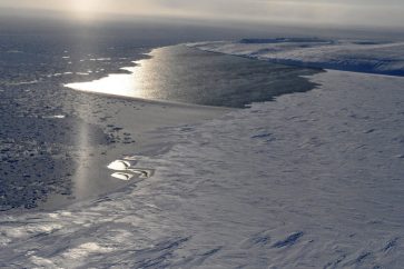arctique1