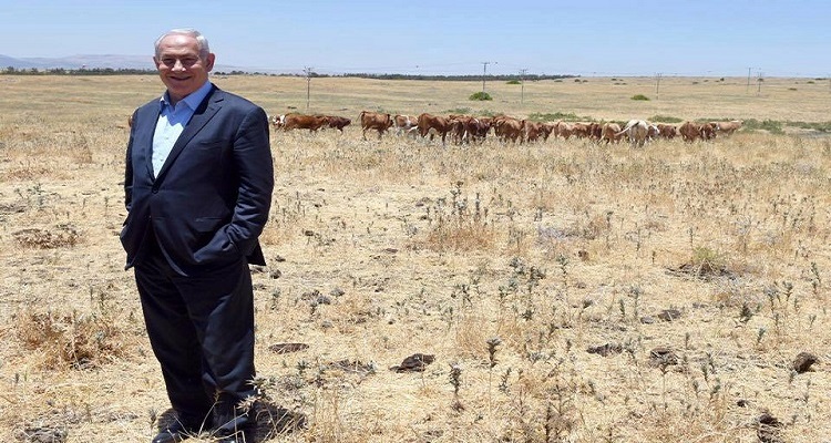 netanyahu-golan