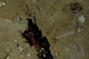 Attentat suicide à Rafah