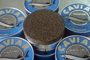 caviar