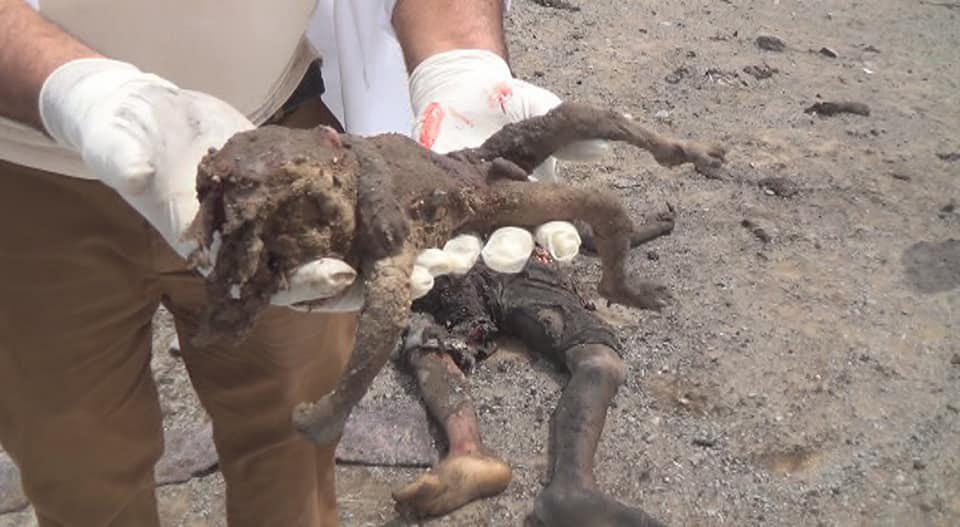 Massacre saoudien à Hodeida