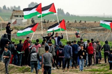 9795a4cb-ed4e-4dda-b037-4844fe0220c5