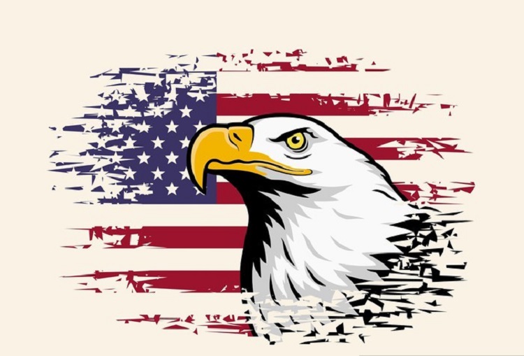 American eagle against USA flag background