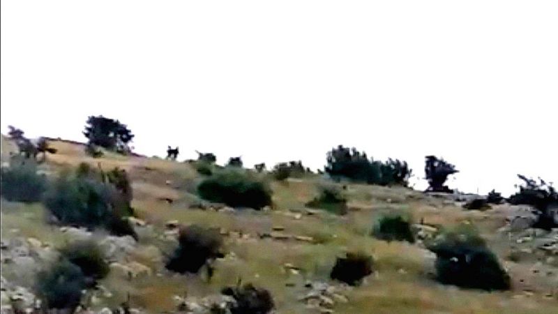 kfar_chouba_chebaa-jpg1