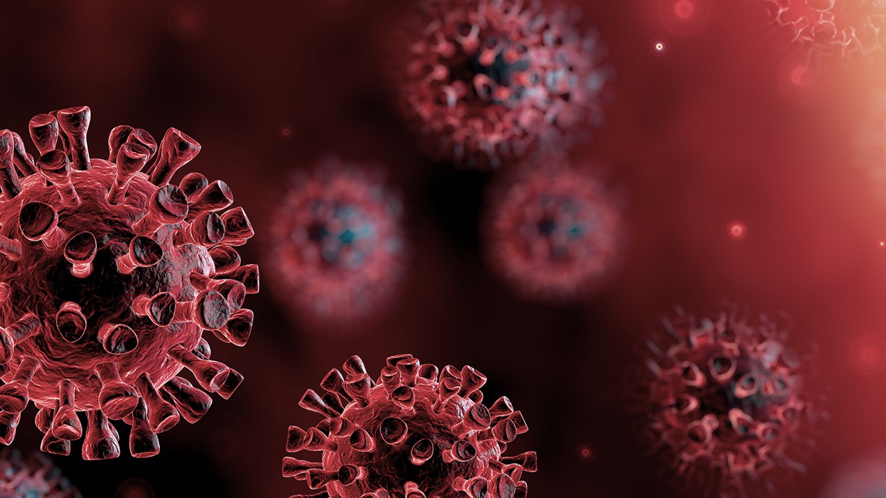 Coronavirus (image d'illustration)