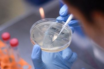 Le changement climatique crée "des conditions idéales pour la transmission des maladies infectieuses,