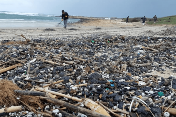 cote_palestine_occupee