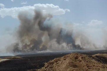 champs_ble_incendies