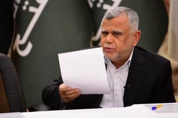 Hadi Ameri