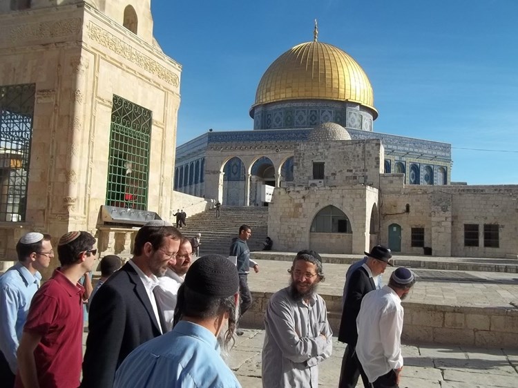 Les colons prennent d'assaut l'enceinte de la mosquée par groupes de dizaines de personnes, sous protection de la police d’occupation israélienne.