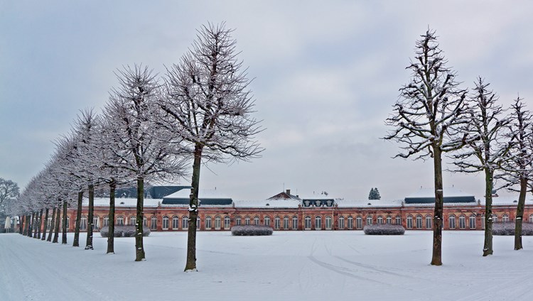 "L"Allemagne ne peut survivre deux hivers sans gaz russe"