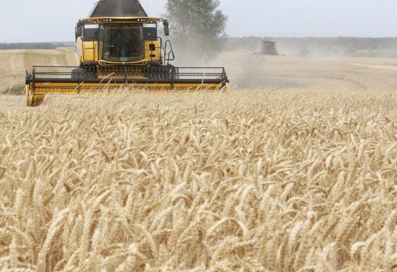Des céréales ukrainiennes