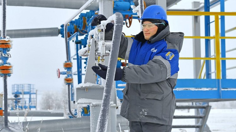 6fa856cf-94a8-487d-a389-0ea8ec4c18d9