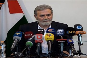 c3eeea63-c783-4ed2-870a-da5c07bfe6f4