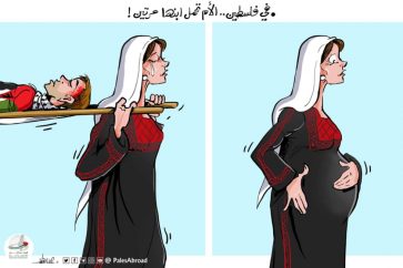 whatsapp-image-2022-08-10-at-16-52-47