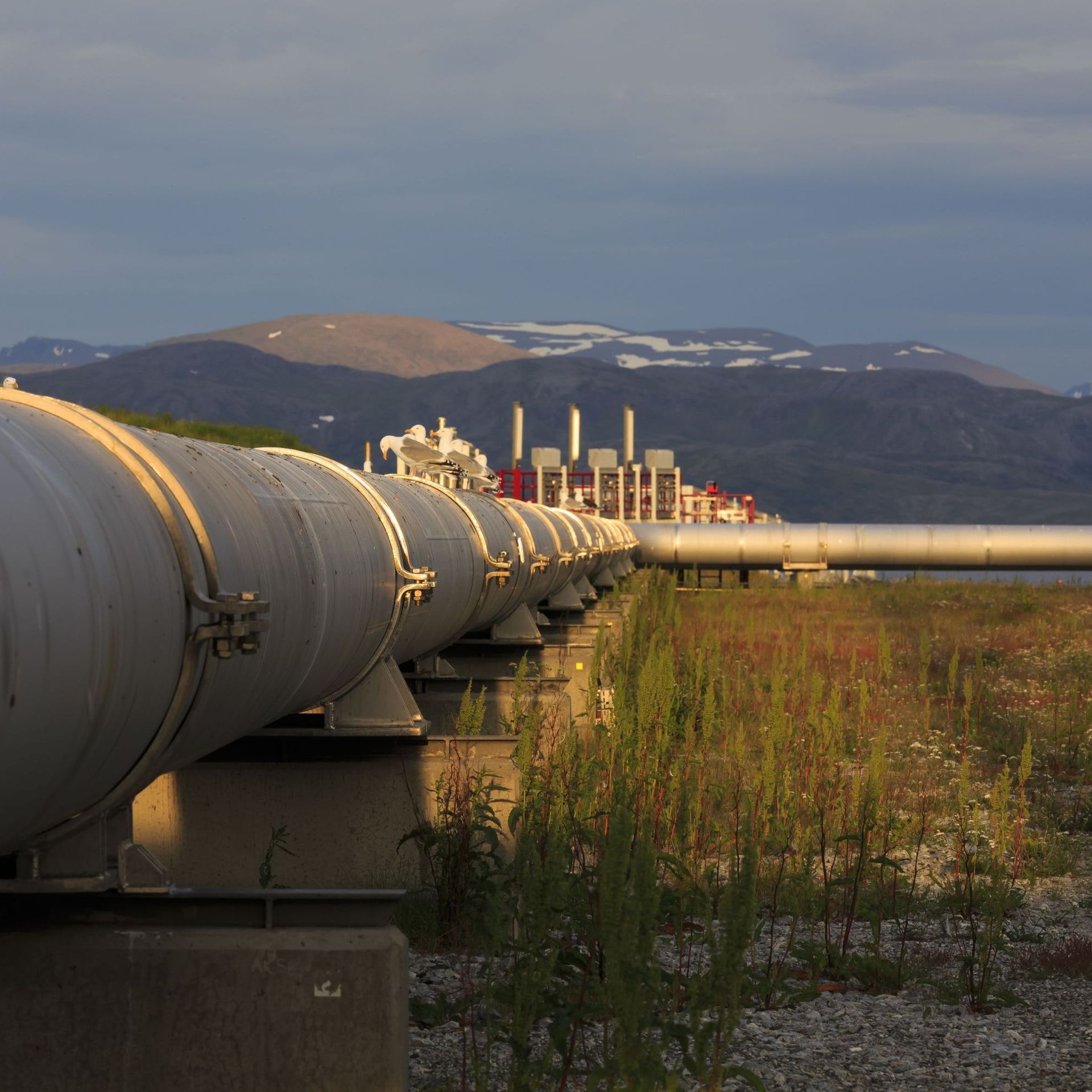 01308211b7f06fcba21dad0f6e011d5f-1646157011