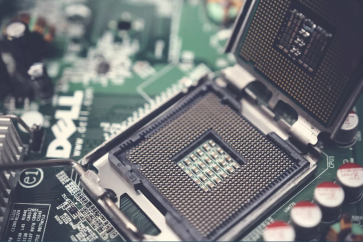 Une puce (image d'illustration)