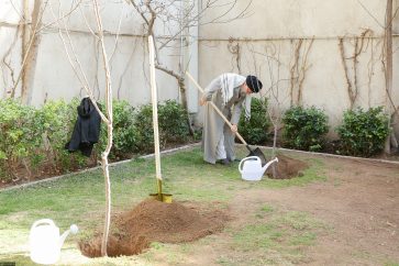 ???? ???? ?? ??? ????????