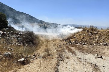 8d53992a-8e67-4d70-8421-8b7489cdee6e