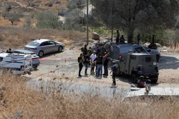 56cfb20d-a2d8-411a-a968-fb964f767308