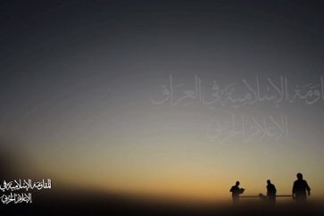 bb80bf92-cd4f-43c3-bea5-075cff48870a