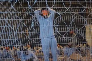 Plusieurs cas de décès de Palestiniens détenus par Israël, dont la plupart dans le camp de Sde Teiman ont été enregistrés. ©CNN