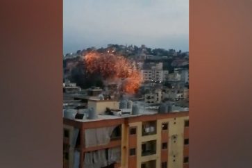 manar-06748570017479340391