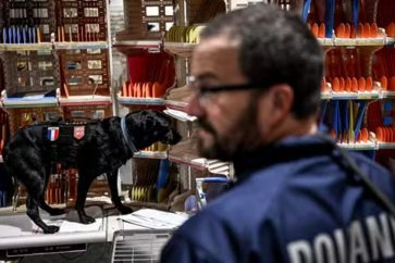 La France, plaque tournante logistique du narcotrafic mondial, révèle un rapport