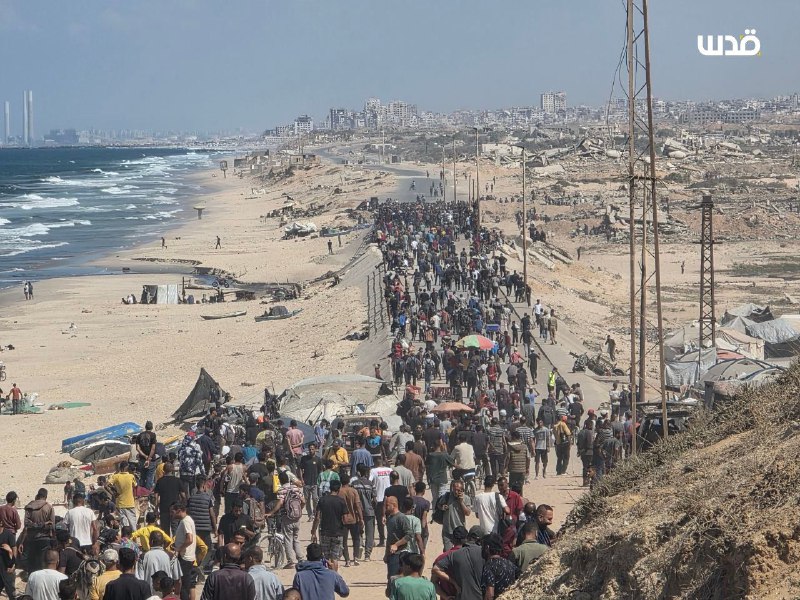 Des foules de Gazaouis rentrent à pied à Gaza-ville et au nord, le 10 octobre 2025.